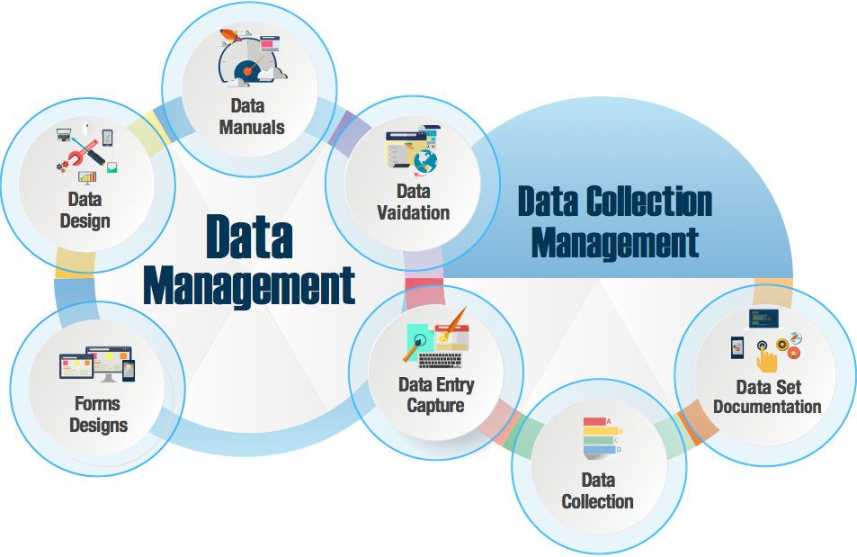 Data Collection, Data Entry & Data Management
